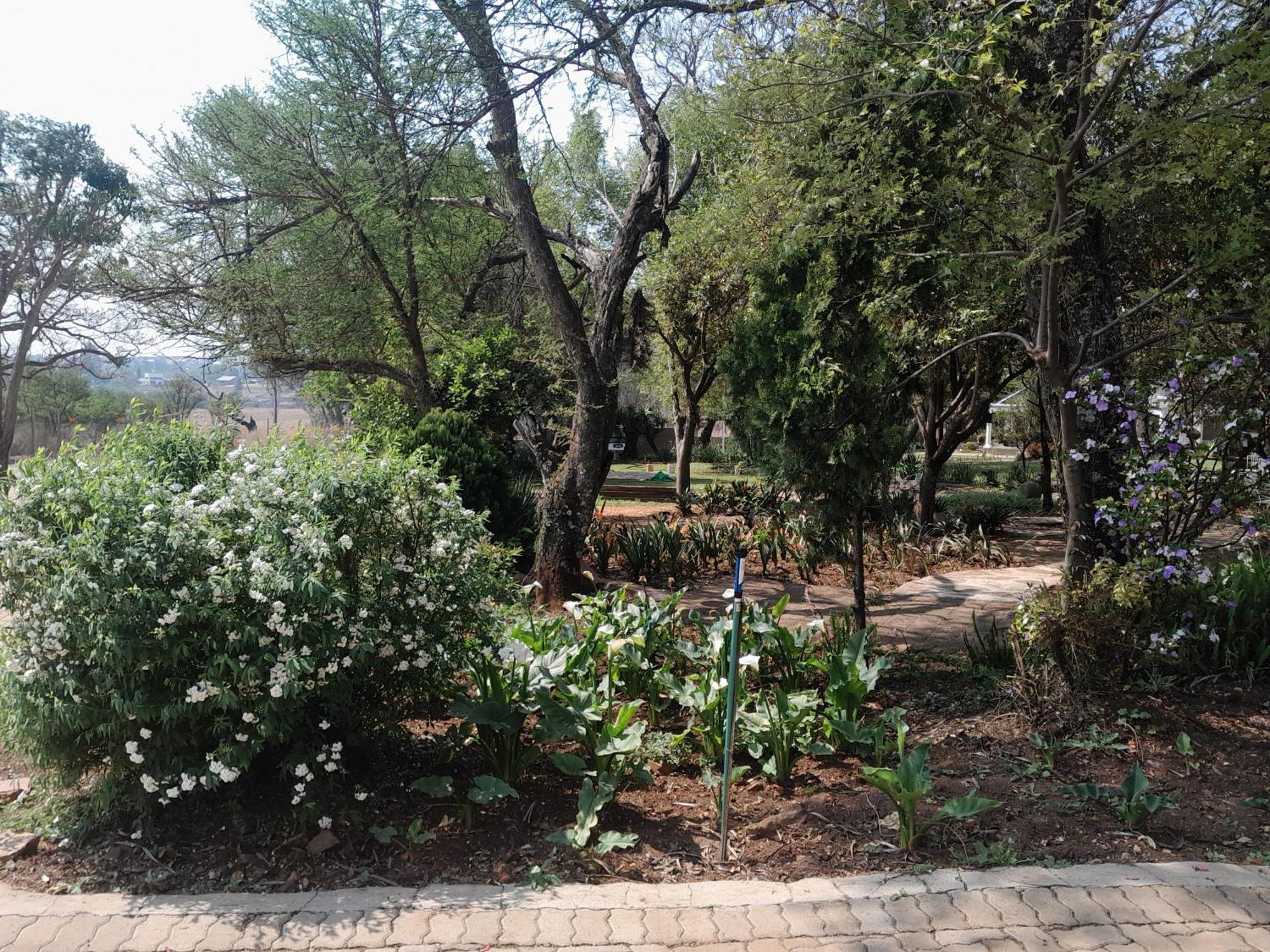 Longtom Farm Guesthouse Lydenburg Exterior foto