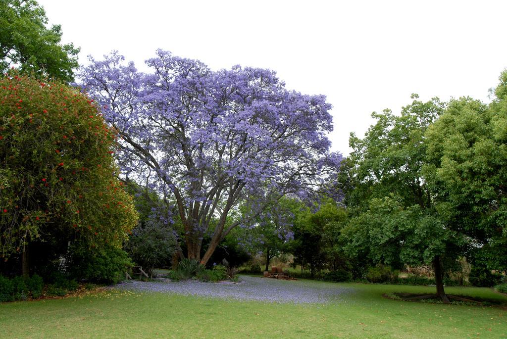 Longtom Farm Guesthouse Lydenburg Exterior foto